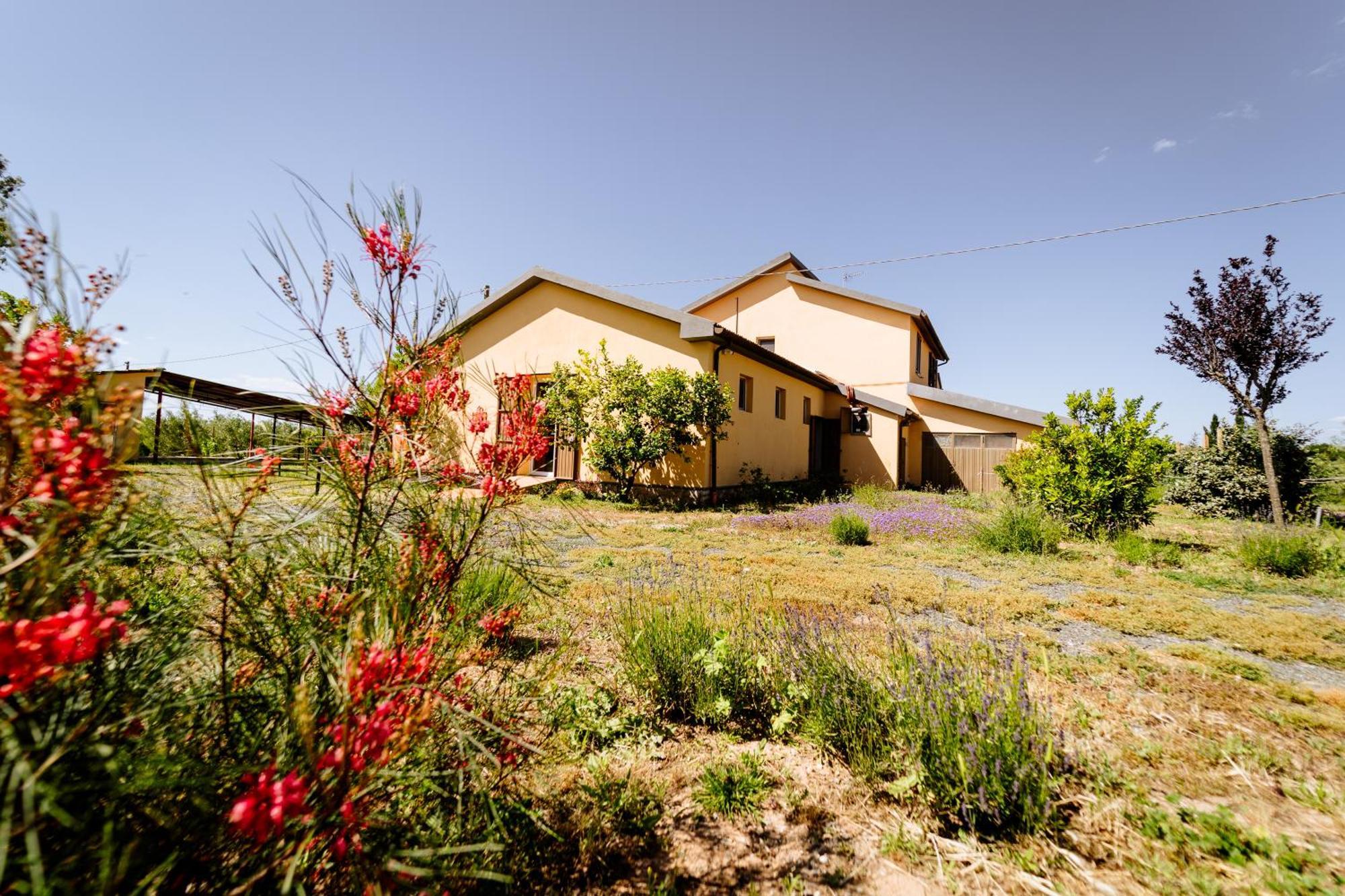 Agriturismo Bio Podere 109 - Wine&Food Alberese Exterior foto
